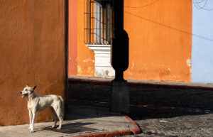 Antigua Guatemala street photography