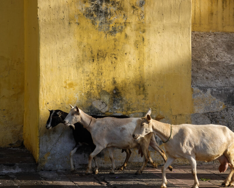 guatemala street life photography