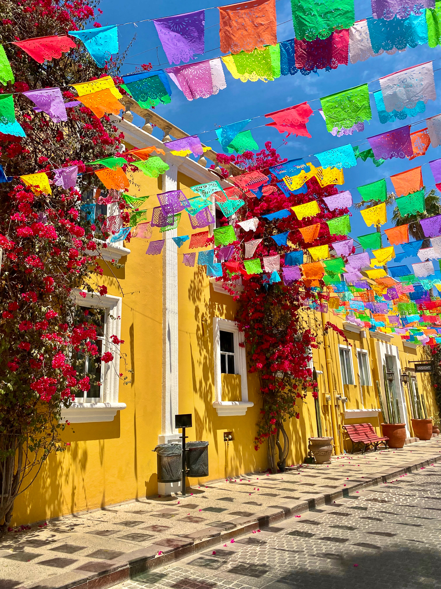 "Mexican Color" San Jose del Cabo, Mexico