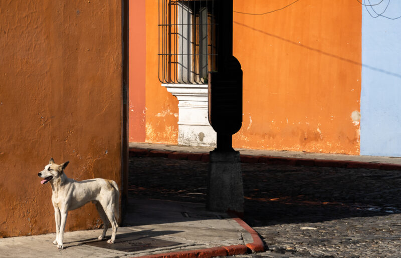 Antigua Guatemala street photography by Fine Art Street Photographer Stephanie Allison Jolluck in Guatemala
