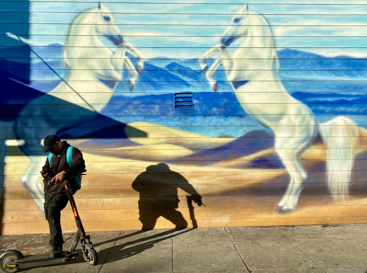 "Stallions" by Stephanie Jolluck