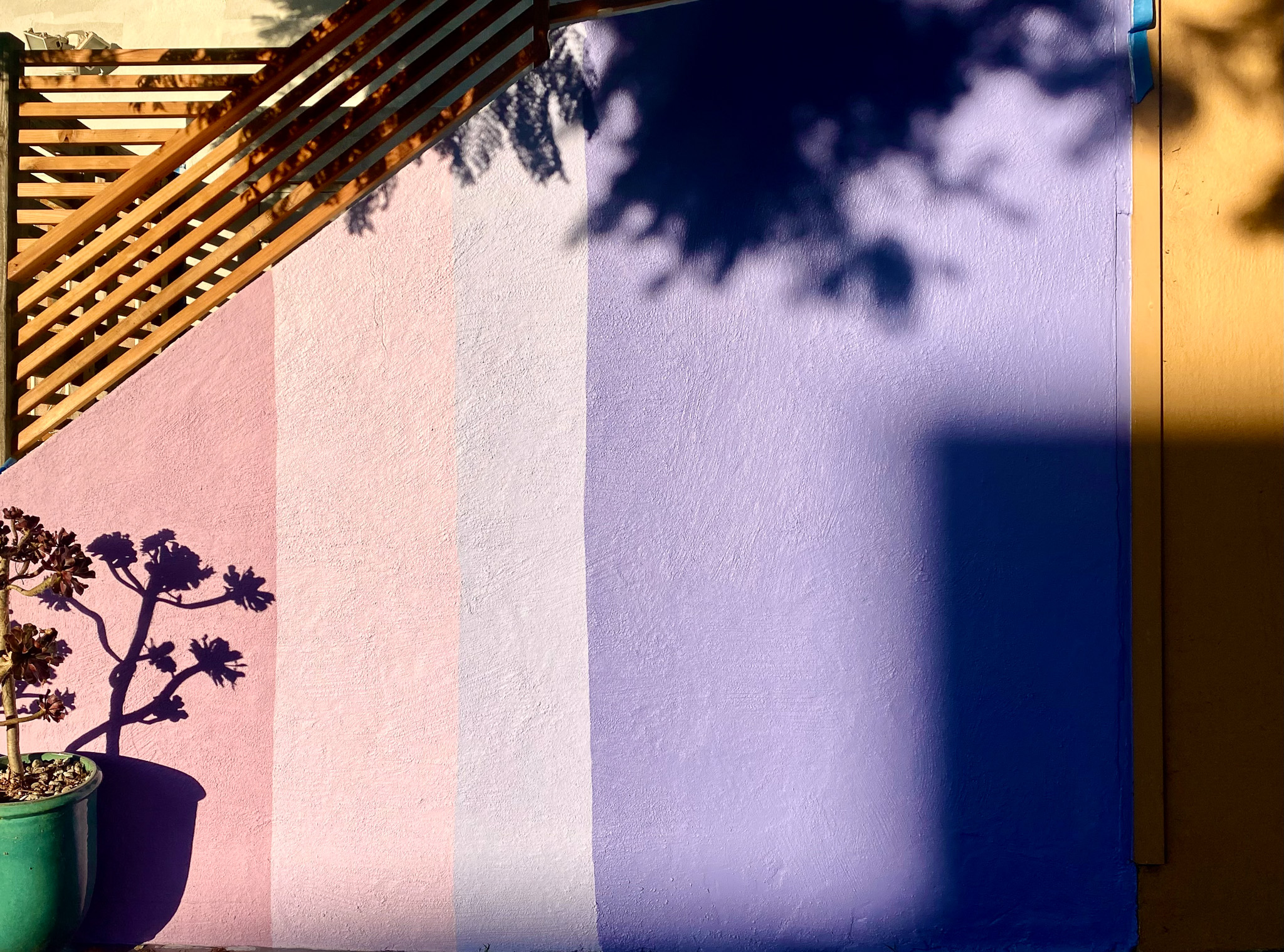 "Stripes" San Francisco, Stephanie Jolluck Photography